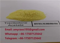 Erittäin puhdas raaka steroidi, puolivalmis, nestemäinen trenoloniasetaatti