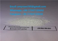 Test E-steroidijauhe