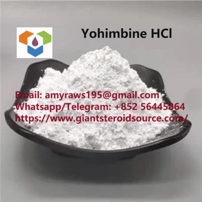 Yohimbiini HCl CAS:146-48-5